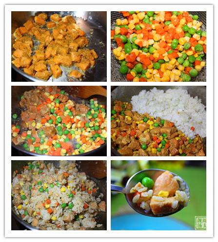 三文魚炒飯 - 周太靚湯 - 周太靚湯