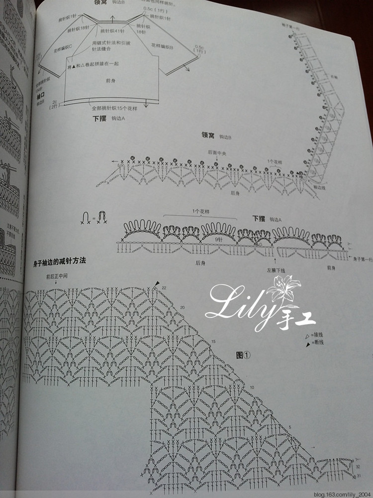 【Lily手工】---茵茵---愛爾蘭蕾絲小罩衣 - Lily - Lily的手工編織天地