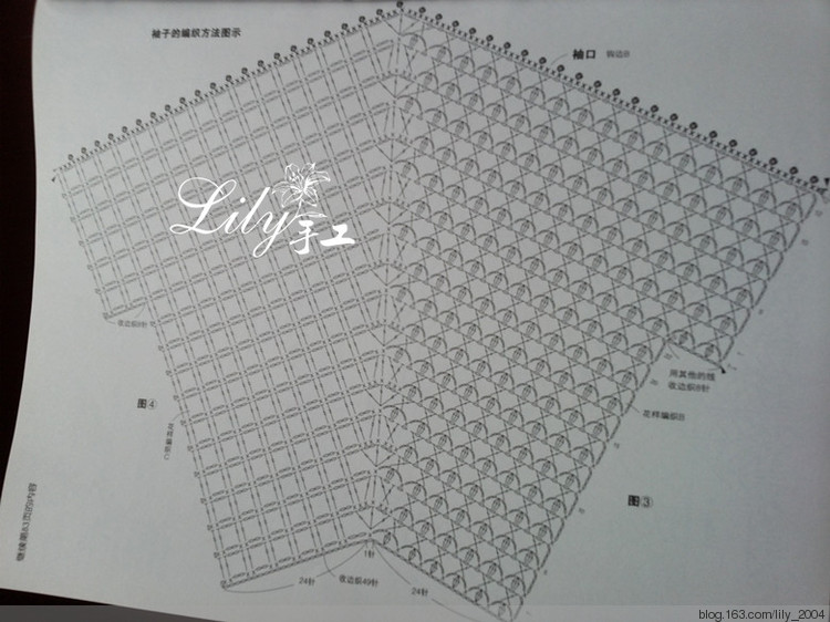 【Lily手工】---茵茵---愛爾蘭蕾絲小罩衣 - Lily - Lily的手工編織天地