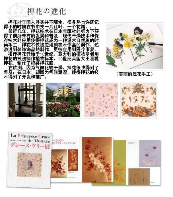 押花課堂：押花的工具與使用方法（圖解）