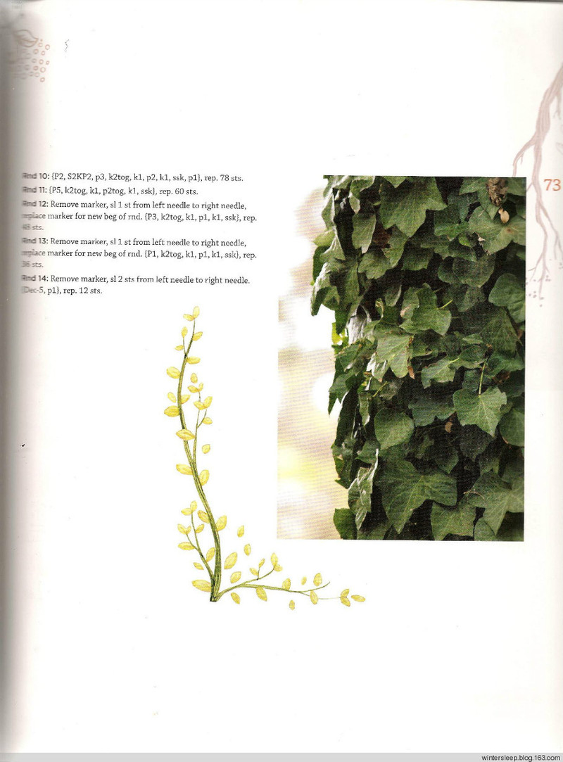 Botanical Knits 2 - 在夏郁中冬眠 - 〓 北緯①度★南洋小島 〓