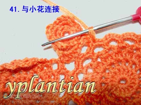 “菊影”一線連（一片藍(lán)天老師的教程） - wl961121 - 人生淡如菊的博客