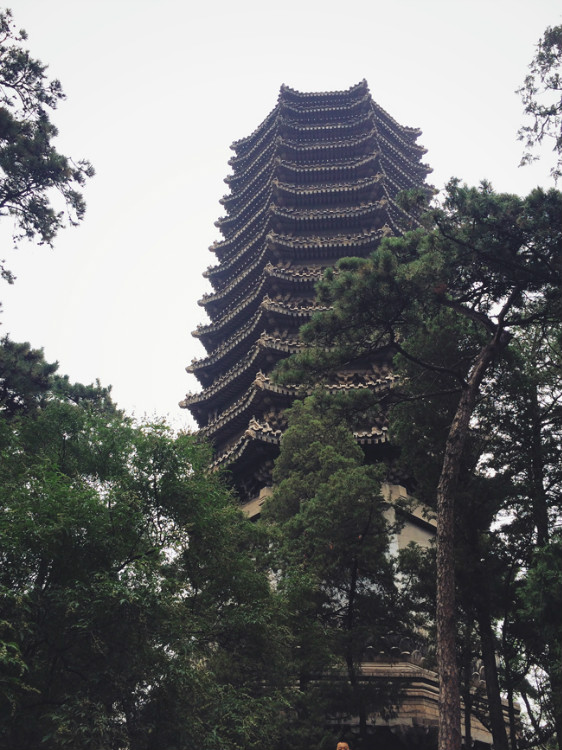 【走走聊聊拍拍】京城行游八天七夜DAY7——頤和園、圓明園遺址和北大 - 手指也跳舞 - 跳舞姐姐的手工莊園