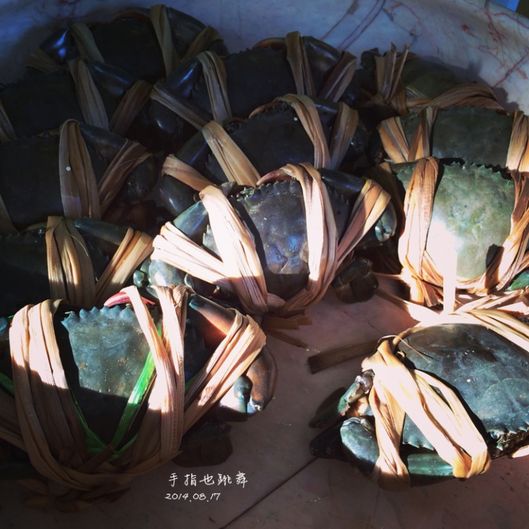 【走走聊聊拍拍】依然愛(ài)你——甲米曼谷夏日假期Day9 - 手指也跳舞 - 跳舞姐姐的手工莊園