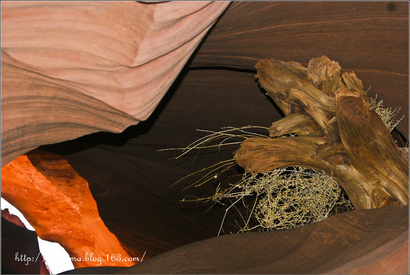 魚頭馬頭中美洲之行（20-1）-美國(guó)亞利桑那州-羚羊谷 - cello-ma - cello-ma的博客