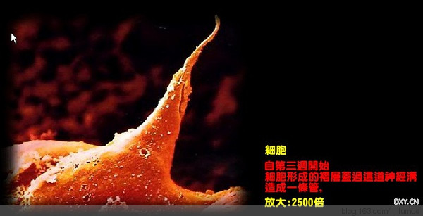 人類之生 - 做手工夢的時間 - 時間合訂本