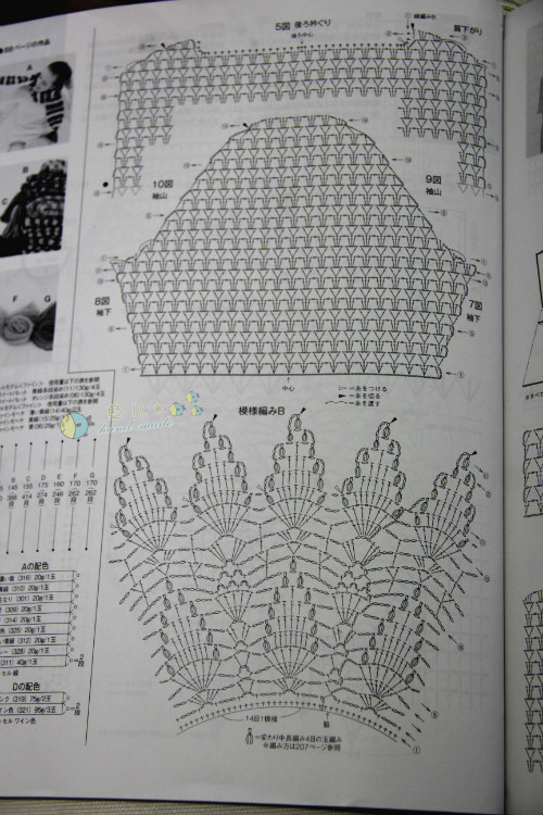 【花落無息】 蝶語 -- 可以親子裝的魚尾蘿（2015、20） - 花落無息 - 花落無息