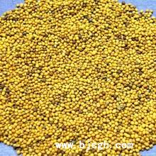 白芥子治療膝關(guān)節(jié)滑膜炎的三大方法