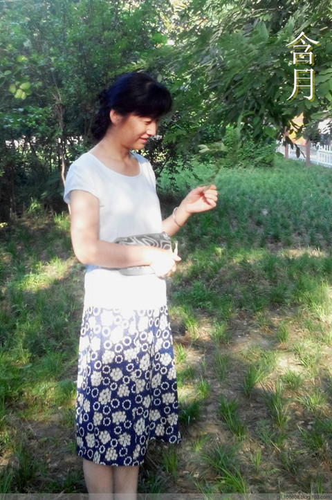 六月裁縫群作業(yè) 林中漫步給了詳細(xì)圖解 - Daphne Tsui - 因為愛所以愛