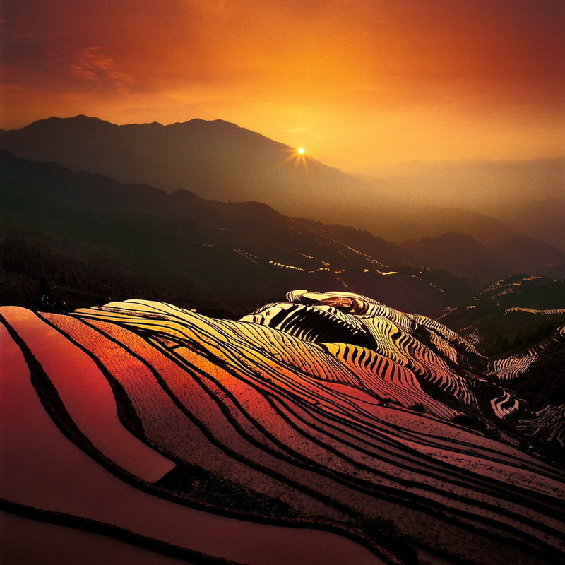 美得太動人了 - 學(xué)海無涯 - 讀書之法.在循序而漸進(jìn).熟讀而精思