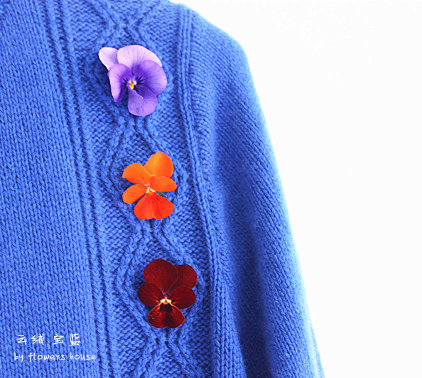 水瓶座的不惑藍(lán) - 花滿樓 - 花滿樓