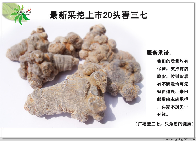 一勺三七粉 渾身百病消 - 瀛子 - 瀛の小箋
