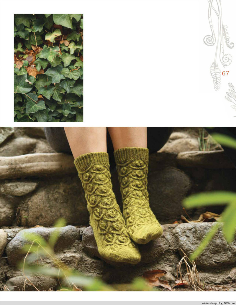 Botanical Knits - 在夏郁中冬眠 - 〓 北緯①度★南洋小島 〓