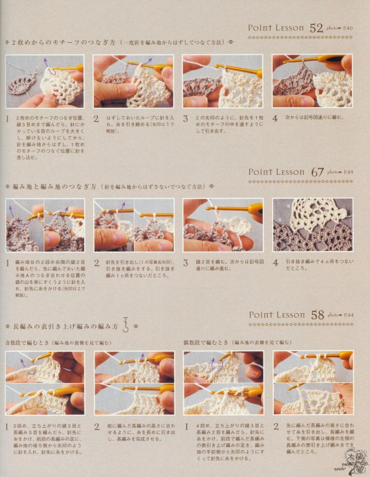 【引用】[轉(zhuǎn)載]菠蘿花100例 - 荷塘秀色 - 茶之韻