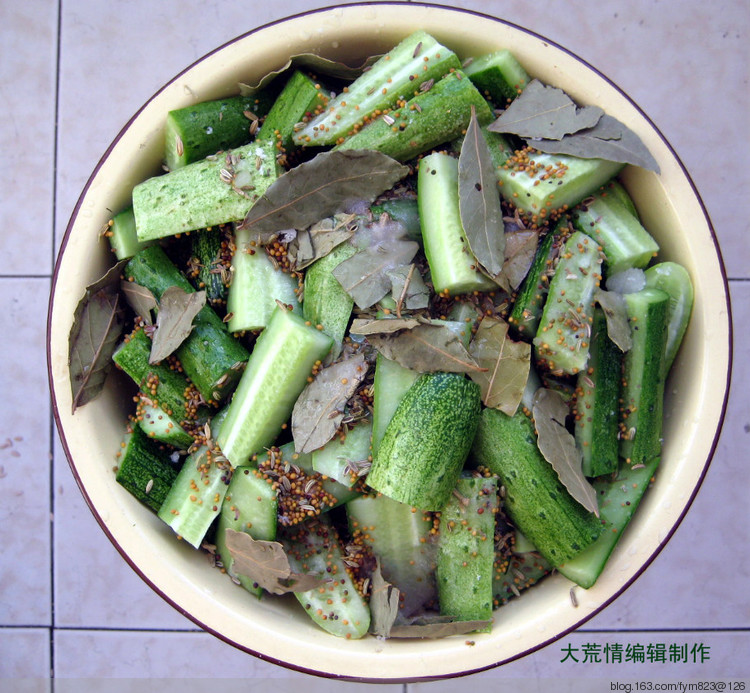 俄式美味黃瓜 - 大荒情 - fym823的博客