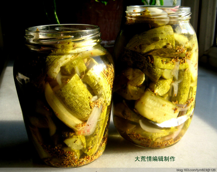 俄式美味黃瓜 - 大荒情 - fym823的博客