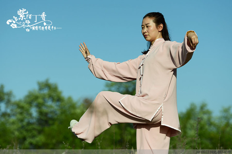 魅力太極，我愛(ài)你！ - 紫陌丁香 - 紫陌丁香手工坊