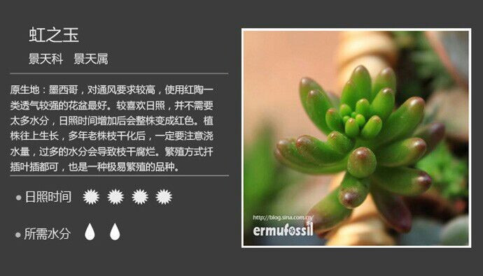大智者必謙和，大善者必寬容***虹之玉 - 楚天 - 楚天·海闊天空