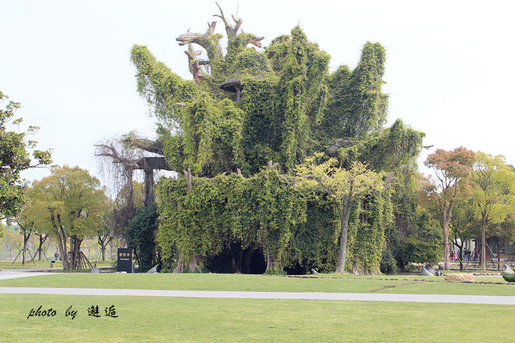 上海月湖雕塑公園 - 邂逅 - 悠然生活