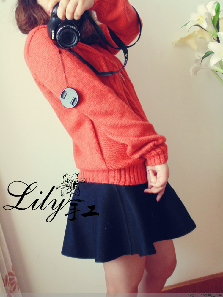 【Lily手工】--楓.橋--仿阿卡套衫 - Lily - Lily的手工編織天地