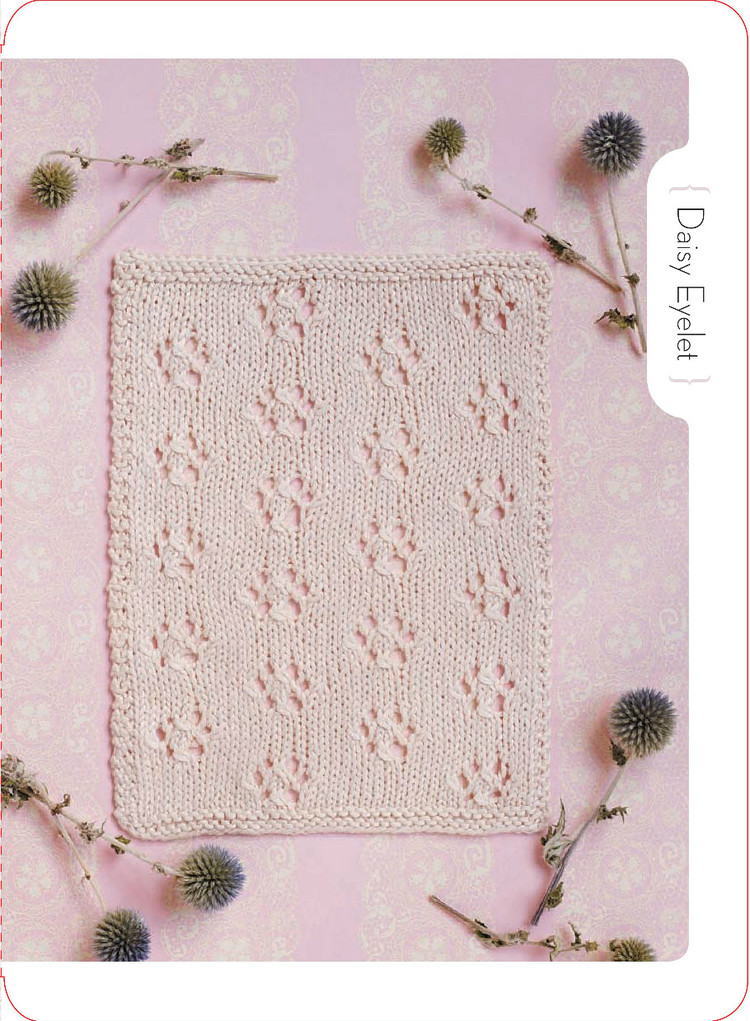 Lace Knitting to Go : 25 Lovely Laces to Use for Edgings - 輕描淡寫(xiě) - 輕描淡寫(xiě)