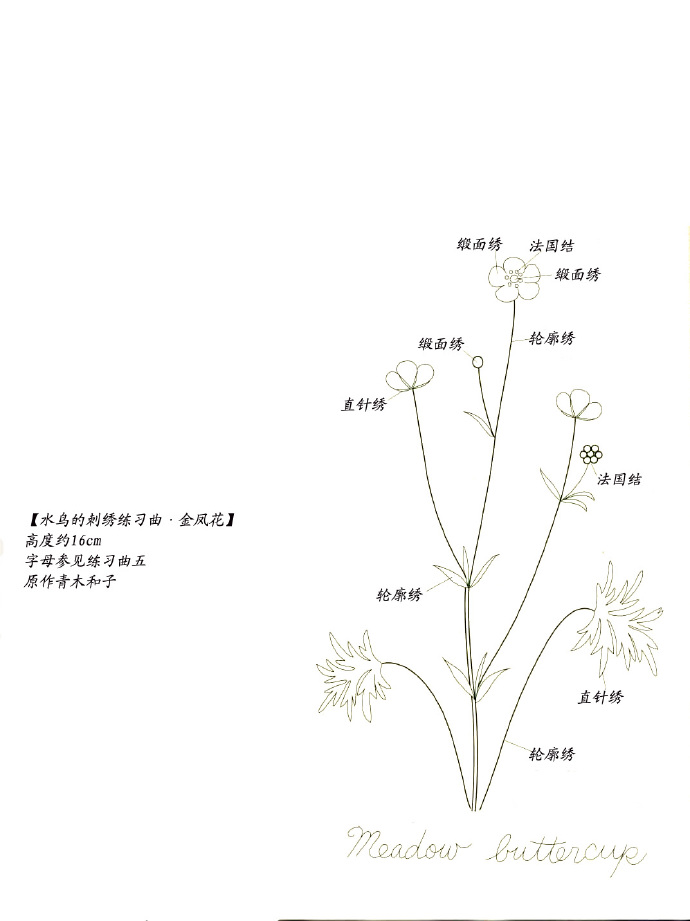 58638-2.jpg