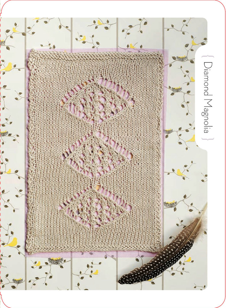 Lace Knitting to Go : 25 Lovely Laces to Use for Edgings - 輕描淡寫(xiě) - 輕描淡寫(xiě)