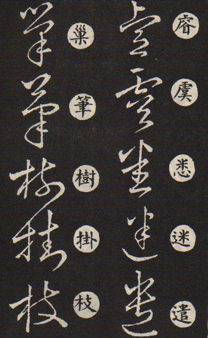 5891-36.jpg