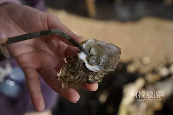 【天南海北】舌尖上的寧波小海鮮 - hjg631 - 哈軍工631隊(duì)的博客