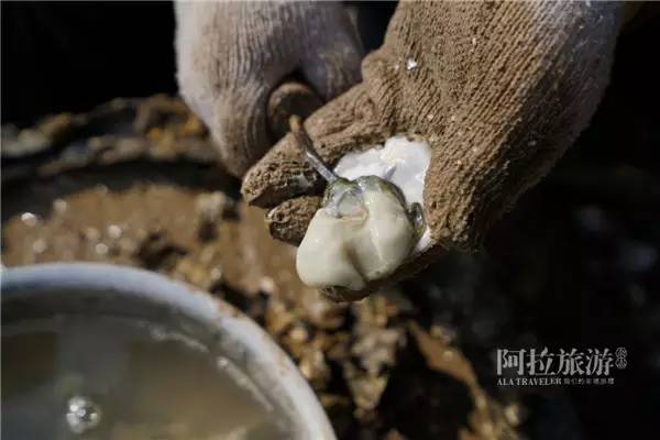 【天南海北】舌尖上的寧波小海鮮 - hjg631 - 哈軍工631隊(duì)的博客