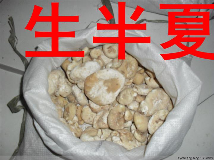 治療口瘡特效方，最多兩次就痊愈 - 瀛子 - 瀛の小箋