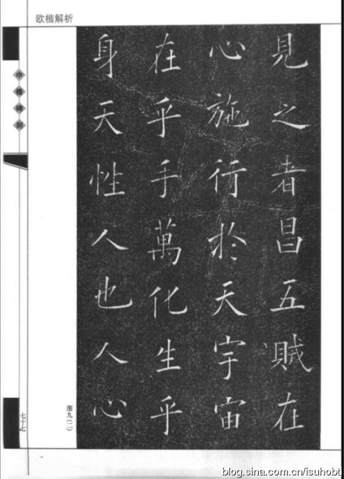 2941-83.jpg