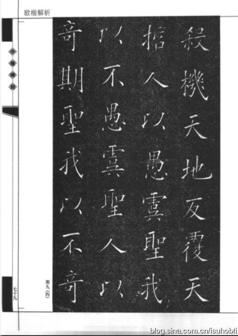 2941-85.jpg