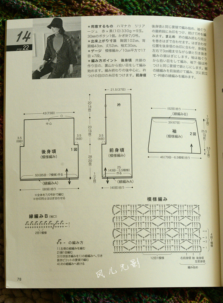 叢林 - 風(fēng)兒無(wú)影 - 風(fēng)兒無(wú)影的博客