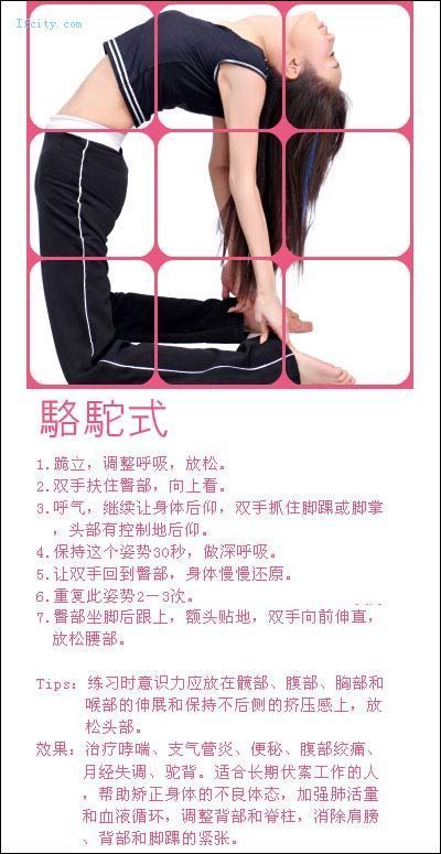 引用 教你在家做瑜珈，很有效的！ - ≡＠⊥＠≡ - 木蘭的空間