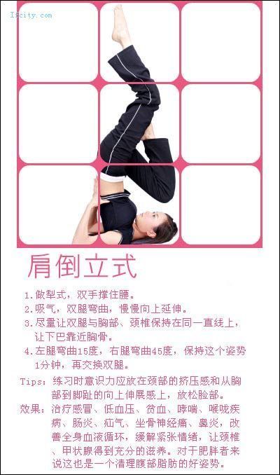 引用 教你在家做瑜珈，很有效的！ - ≡＠⊥＠≡ - 木蘭的空間