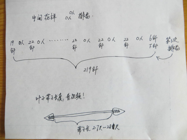 春秋寶寶中性斗篷（視頻) - 明月的棒針?biāo)囆g(shù) - 明月的棒針?biāo)囆g(shù)