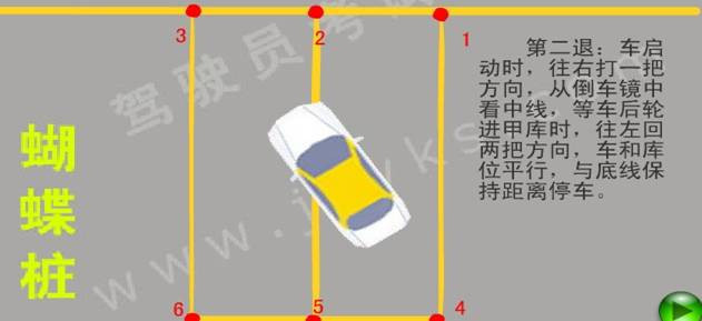學(xué)車(chē)記 - 冰凌 - 冰凌的收納盒