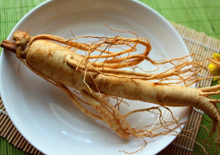 韓式料理--人參鴨 - 周太靚湯 - 周太靚湯