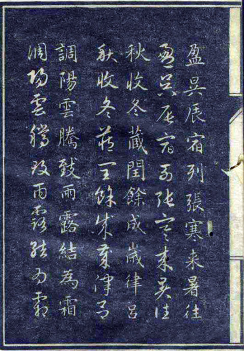 8199-56.jpg