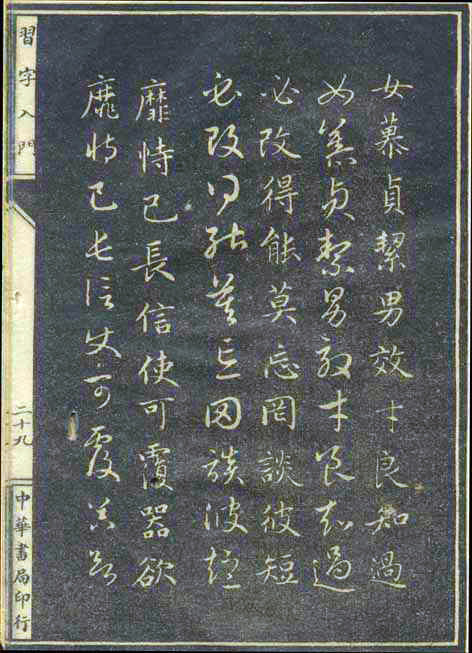 8199-61.jpg