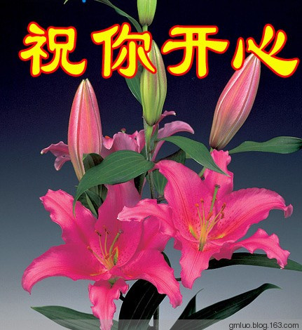 考眼力，測智商 - 老教授 - 老教授