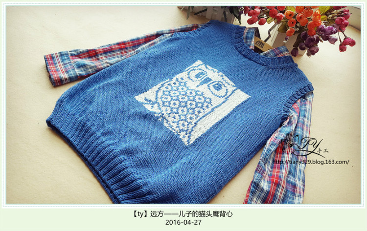 1618——遠方——兒子的貓頭鷹背心 - ty - ty 的 編織博客