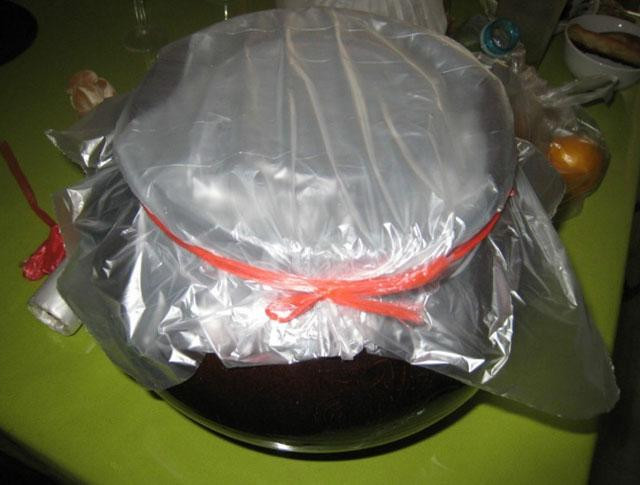 這樣腌出來(lái)的黃瓜比肉還好吃，趕緊學(xué)起來(lái)！ - 楓兒 - 楓葉ㄣ飄零