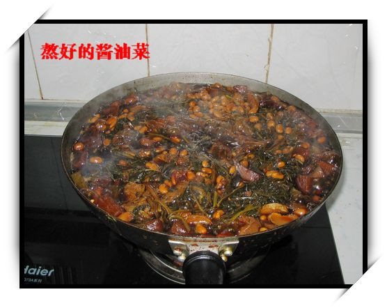 龍口醬油菜 - 明琳 - 明琳的博客