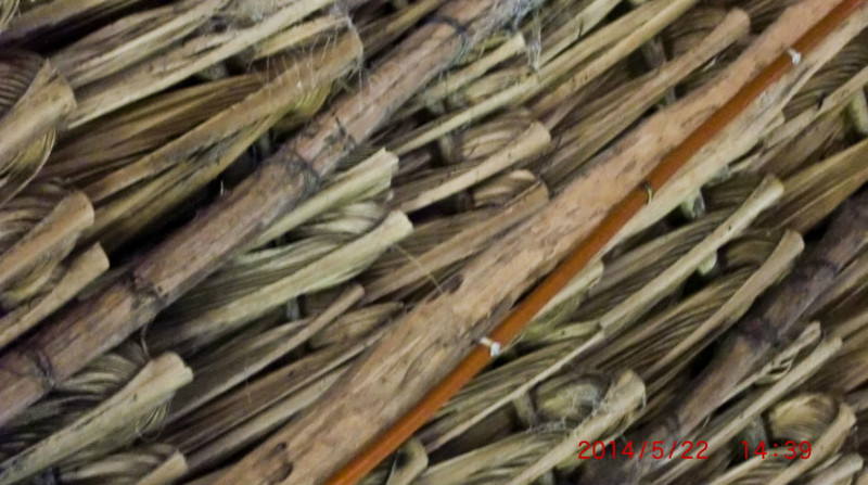 魚頭馬頭中美洲之行（8-2）-墨西哥風(fēng)味午餐 - cello-ma - cello-ma的博客