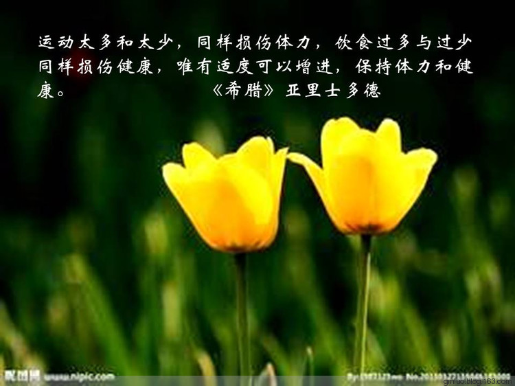 智慧的語言---健康篇 - 老教授 - 老教授