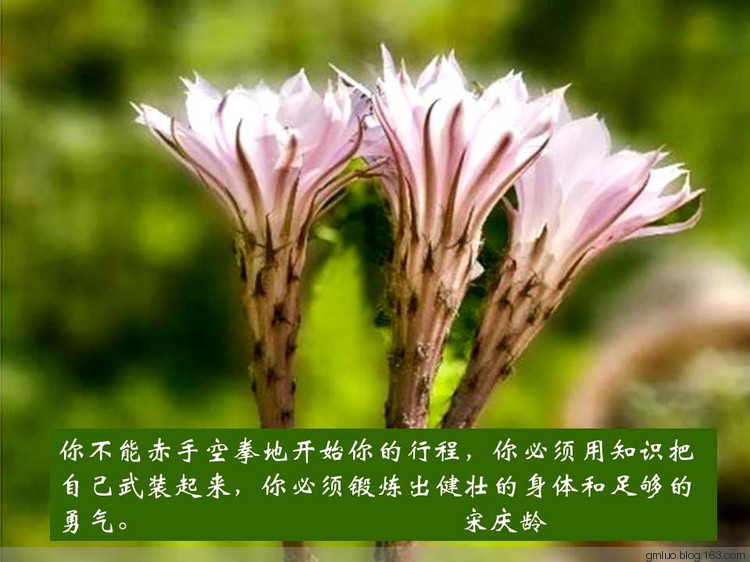 智慧的語言---健康篇 - 老教授 - 老教授