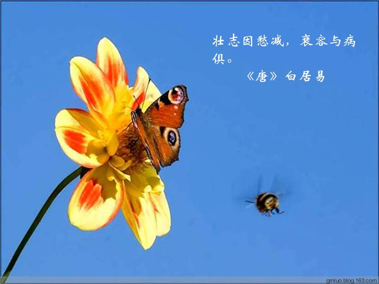 智慧的語言---健康篇 - 老教授 - 老教授
