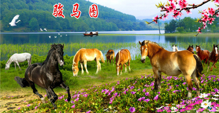 駿馬奔騰    值得收藏 - 軍魂9999 - 軍魂9999歡迎您